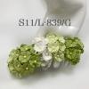 100 Size 3/4" or 2cm Mixed 2 Green -White Cottage (15/158/161)