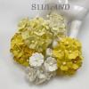 100 Size 3/4" or 2cm Mixed Yellow -White Cottage (15/147/400/401)