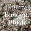 50 Blush Pink Cherry Blossoms - Custom Order