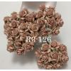 500 Size 3/4" or 2cm Rose Gold Shade (One Time Sale)