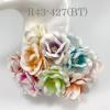 25 Peony 2" or 5 cm - Mixed Special Hand Dyed Bottom Splash Variegated (427/BT)   