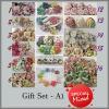 16 Packs Mixed Flower Kits - Gift Set A1
