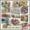 12 Packs -Mixed Assortment Flowers /Colors /Sizes ( Gift Set B12-C)