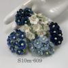 100 Size 5/8" or 1.5 cm - Small Mixed Boy Blue (15/170/421/422/Royal-C)