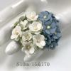  100 Size 5/8" or 1.5 cm - Small Achillea Cottage - Mixed 2 Colors