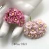 100 Size 5/8" or 1.5 cm - Small Achillea Cottage- 2 Solid Pink Mixed