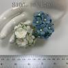 100 Size 3/4" or 2cm Large Achillea Cottage - WHITE & Baby Blue (Pre-order) 