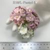 100 Size 3/4" or 2cm Large Achillea- Mixed Spring (Pre-order-2/15/188) 