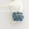   50 Indian Jasmine (1"or2.5cm) Baby Blue Flowers
