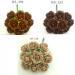 100 Indian Jasmine (1"or2.5cm) One Your Color Choice - Brown Shade (Pre - order)