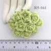 50 Indian Jasmine (1"/2.5cm) Soft Celery Green Flowers (Pre-Order)