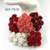 50 Indian Jasmine (1"or2.5cm) Mixed Red - White (Pre-order 12/18/99V/104)