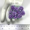100 Arabian Jasmine (3/4" or 2cm) Solid Purple Flowers