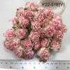 25 Puffy Roses (1-1/4or3cm) White - Soft Pink EDGE Flowers