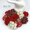 100 Arabian Jasmine (3/4" or 2cm) Mixed All Red - White Flowers