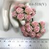  50 Arabian Jasmine (3/4" or 2cm) White - Soft Pink Edge
