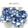 50 Medium May Roses (1-1/2"or3.75cm) White - Blue EDGE flowers