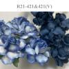 50 Medium May Roses (1-1/2"or3.75cm) Mixed Blue Edge -Denim Blue