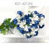 50 Medium May Roses (1-1/2"or3.75cm) Half White - Blue Flowers