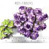 50 Medium May Roses (1-1/2"or3.75cm) White - Purple EDGE Flowers