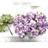 50  Medium May Roses (1-1/2"or3.75cm) White - SOFT Purple EDGE Flowers