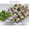 50 Medium May Roses (1-1/2"or3.75cm) Cream - Purple EDGE Flowers
