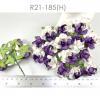 50  Medium May Roses (1-1/2"or3.75cm) White -HALF Purple Flowers