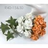 25 Large  2" or 5 cm - Mixed JUST PEACH / WHITE Tea Roses 