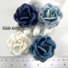 20 Romantica Roses (2or2.5cm) Mixed Boy Blue (15/170/421/422)
