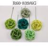 20 Romantica Roses (2or 5cm) Mixed Solid 6 Green (158/161/162/163/166/167)