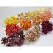 150 Mixed 15 Colors 1"(2.5cm) Cottage Paper Flower Fall Autumn Craft