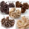 Peony 2" or 5 cm - Mixed Earthy Brown