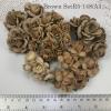 30 Mixed Brown 5 designs Peony Paper Flowers 