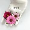 25 Daisy (1-3/4 or 4.5cm) Mixed 3 Solid Pinks
