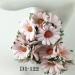 Daisy Flowers BLUSH Pink Color