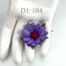 Daisy Flowers Royal Purple Color
