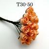 T30 - 50 (25 Pcs)     25 Solid Peach Semi Open Rose Buds