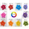 5 Large Gardenia (4"o 9.5cm) - One Your Color Choice - Rainbow Shade 
